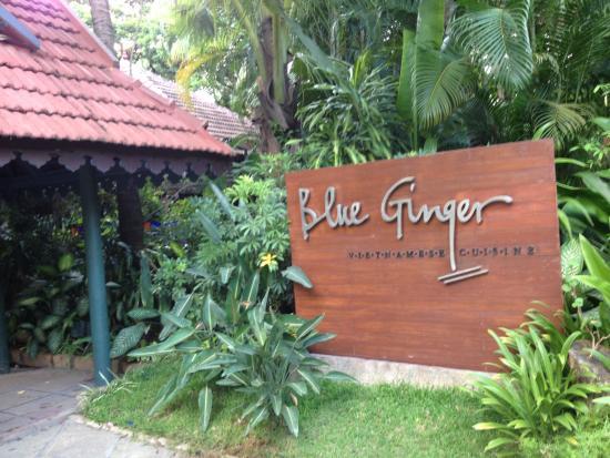 Blue Ginger